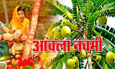 Amla Navami Katha