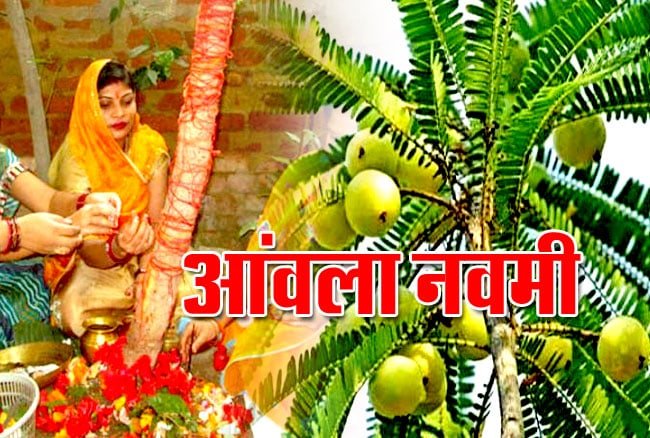 Amla Navami Katha