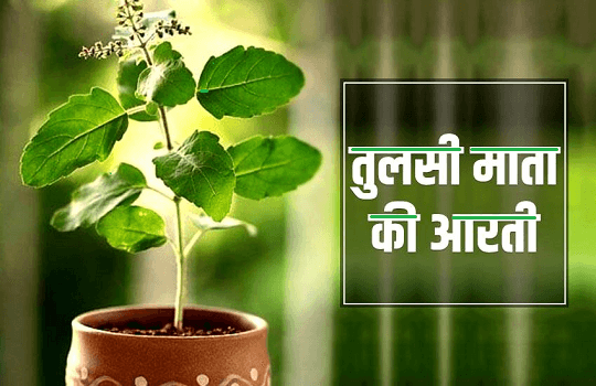 Tulsi Mata Ki Aarti