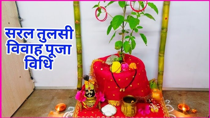 Tulsi Vivah Puja